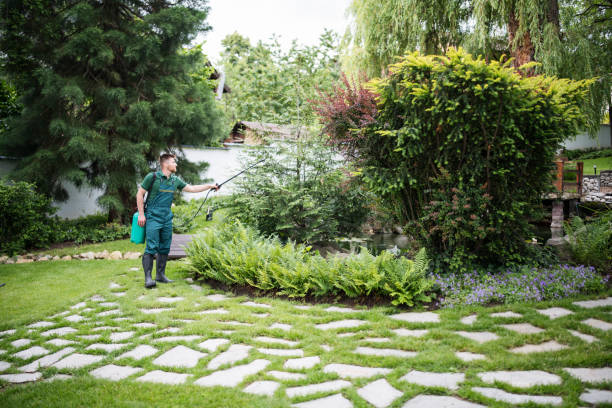 Best Local Pest Control Services  in Parma, OH