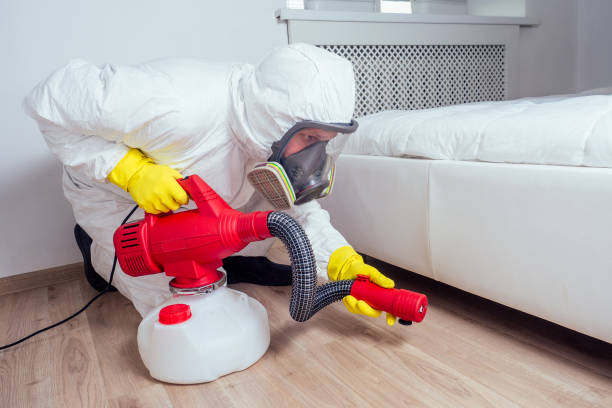 Best Wasp Removal Services  in Parma, OH