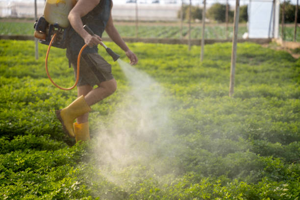 Reliable Parma, OH Pest Control Solutions
